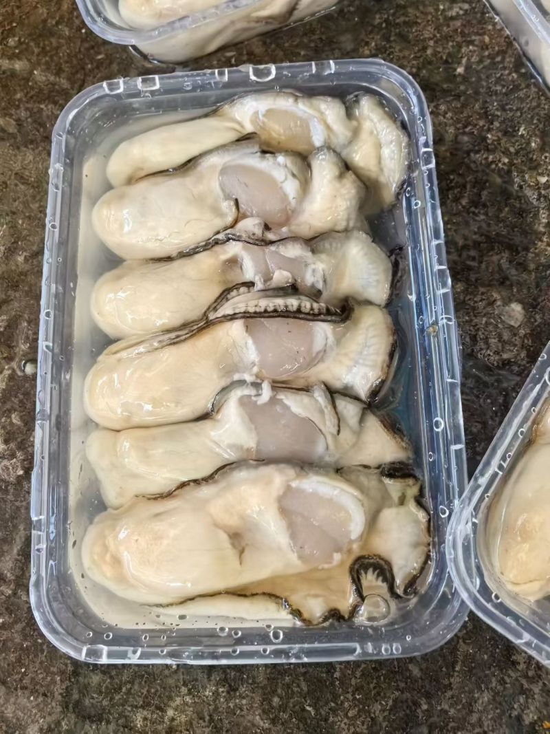 脆口大蚝肉，一斤10个左右，现开脆口咸水，支持全国直发