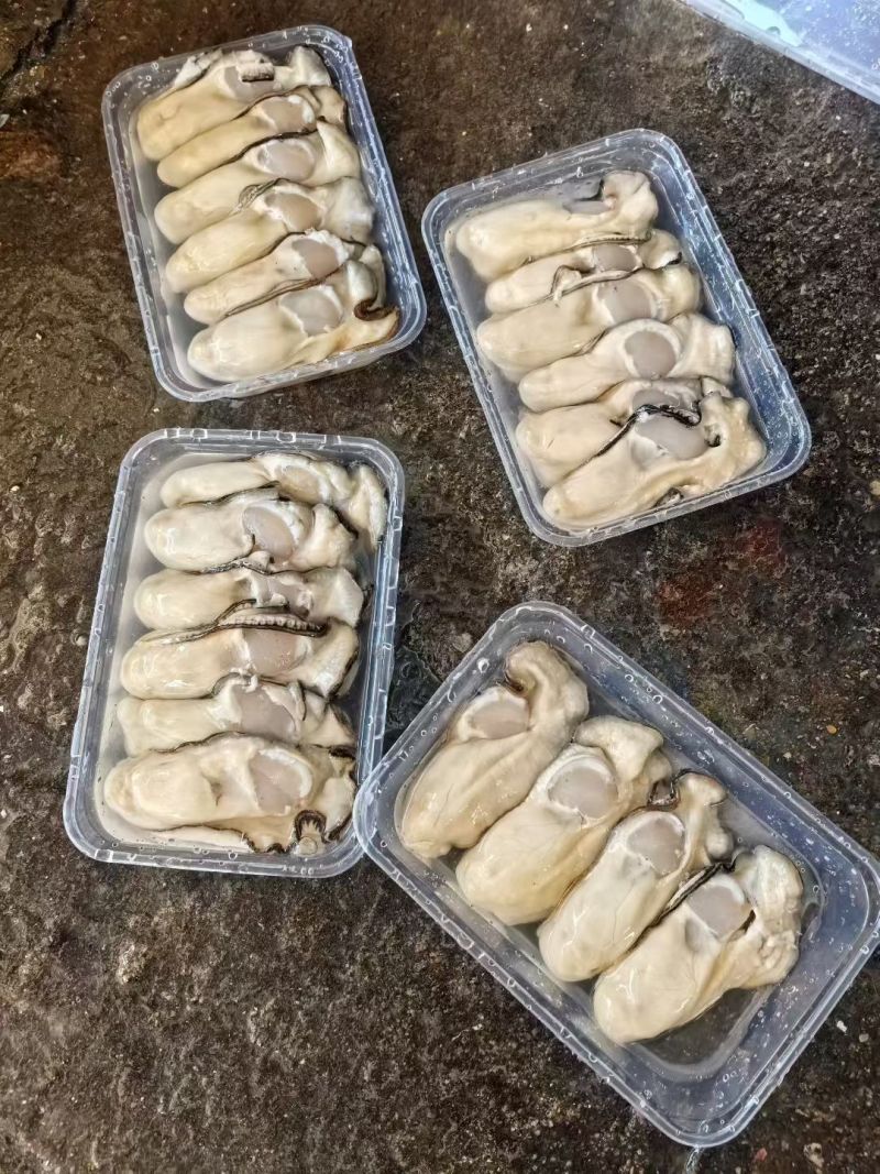 脆口大蚝肉，一斤10个左右，现开脆口咸水，支持全国直发