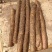 推荐河北铁棍山药衡水山药饶阳山药基地常年直供质优价廉欢迎电联
