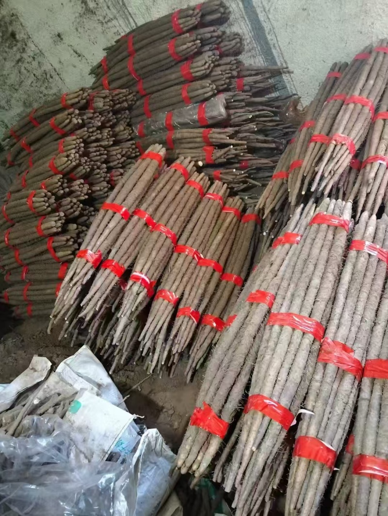 推荐河北铁棍山药衡水山药饶阳山药基地常年直供质优价廉欢迎电联
