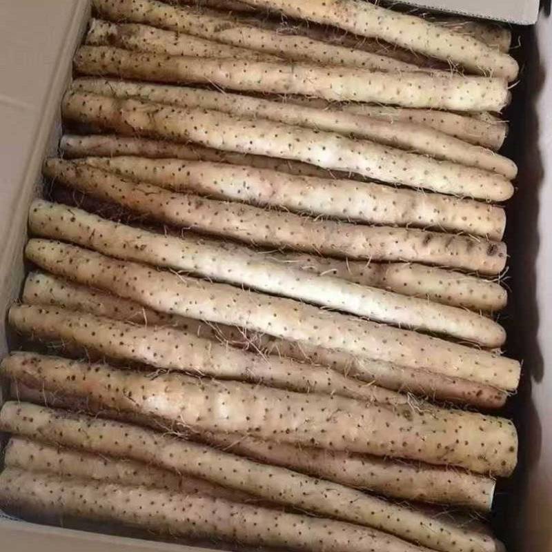 电商山药河北山药铁棍山药承接电商超市场规格齐全按需定制货