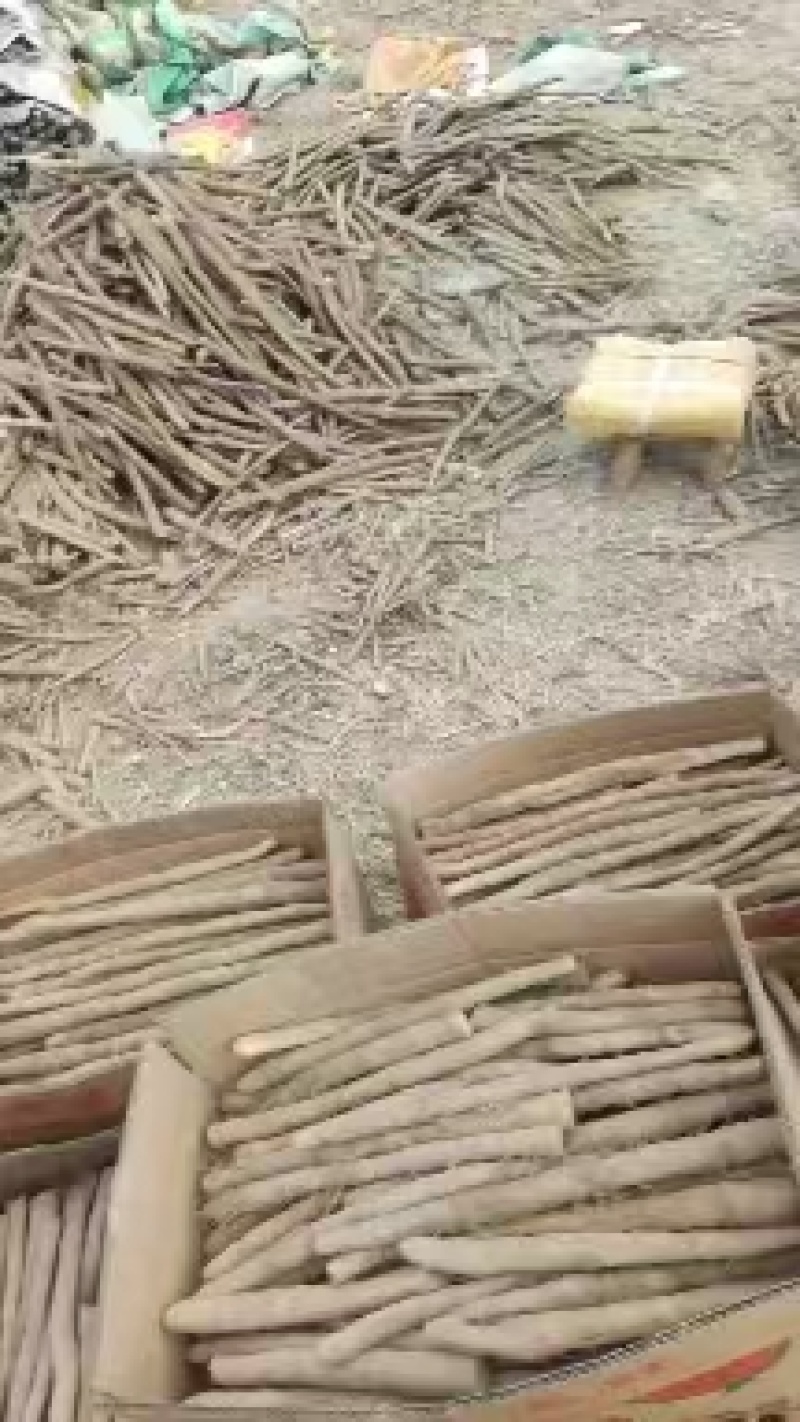 电商山药河北山药铁棍山药承接电商超市场规格齐全按需定制货