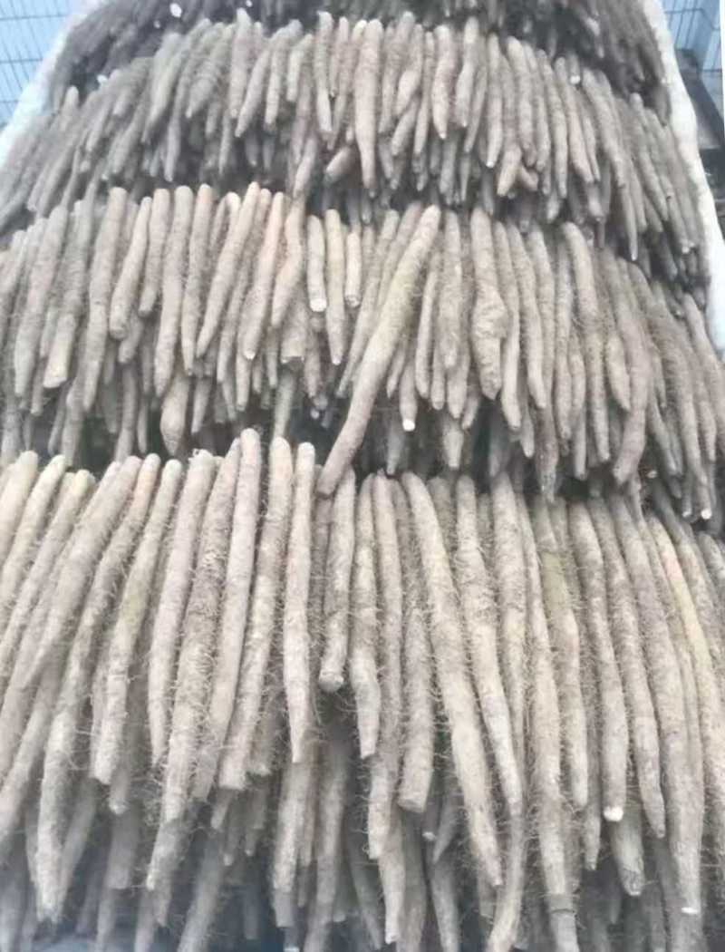 电商山药河北山药铁棍山药承接电商超市场规格齐全按需定制货
