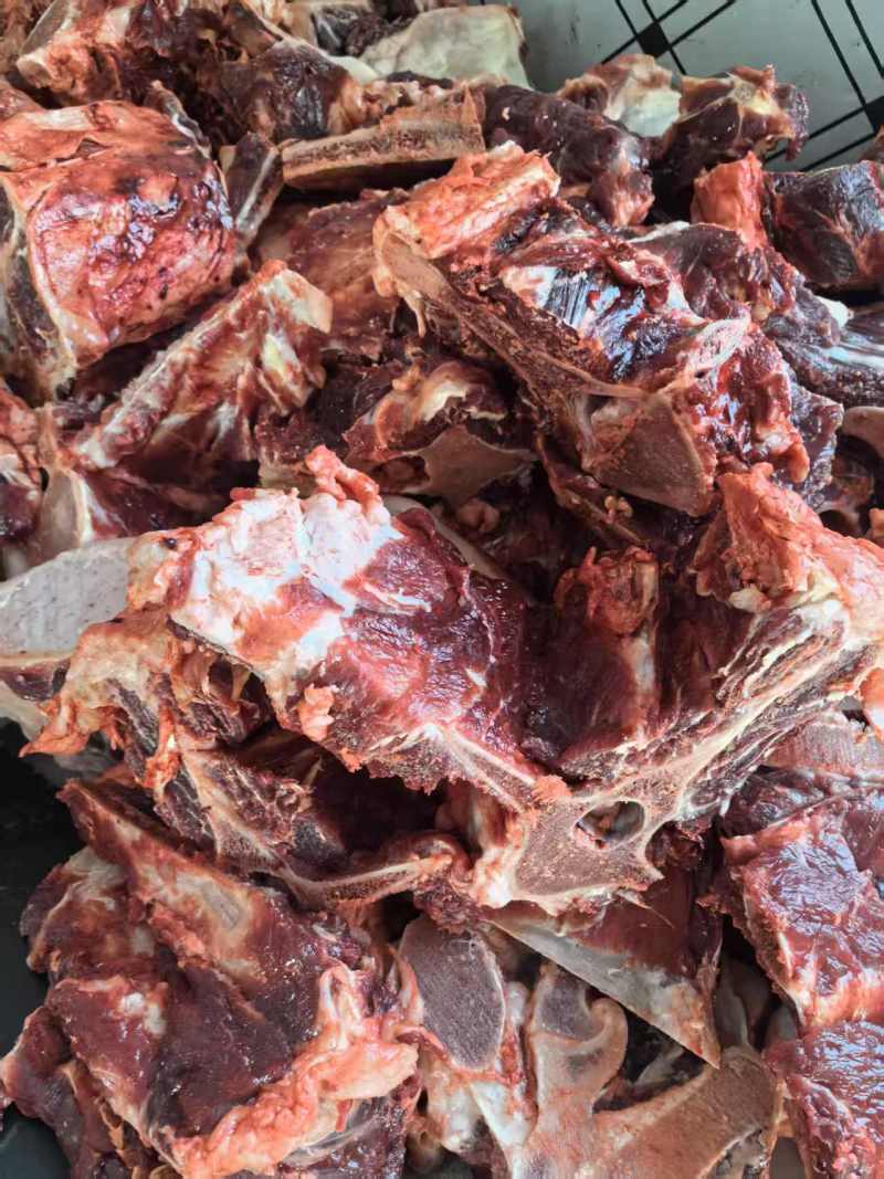 新鲜肉大驼骨头，驼全骨，可定制各种规格！