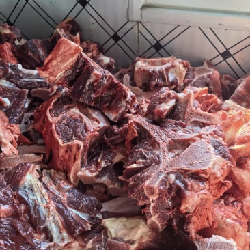 新鲜肉大驼骨头，驼全骨，可定制各种规格！