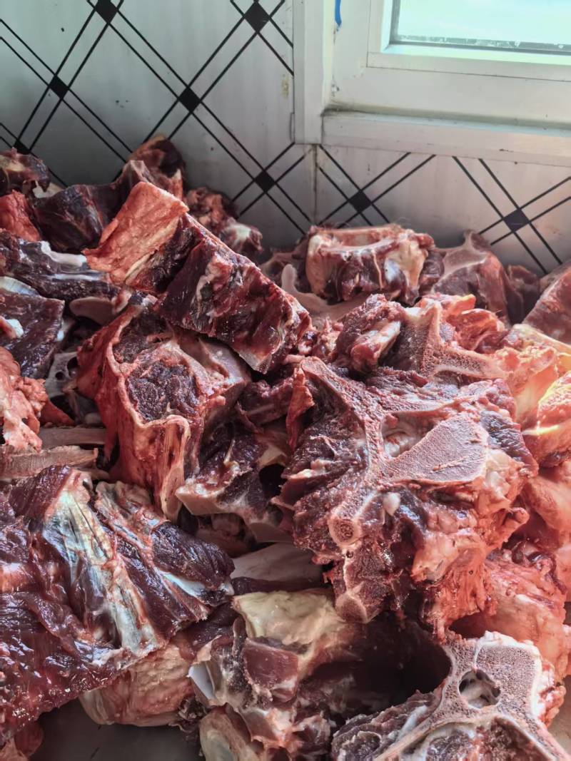 新鲜肉大驼骨头，驼全骨，可定制各种规格！