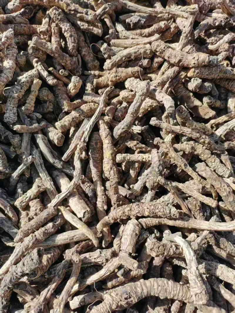【推荐】胡黄连，刮皮一手货源量大从优可视频看货