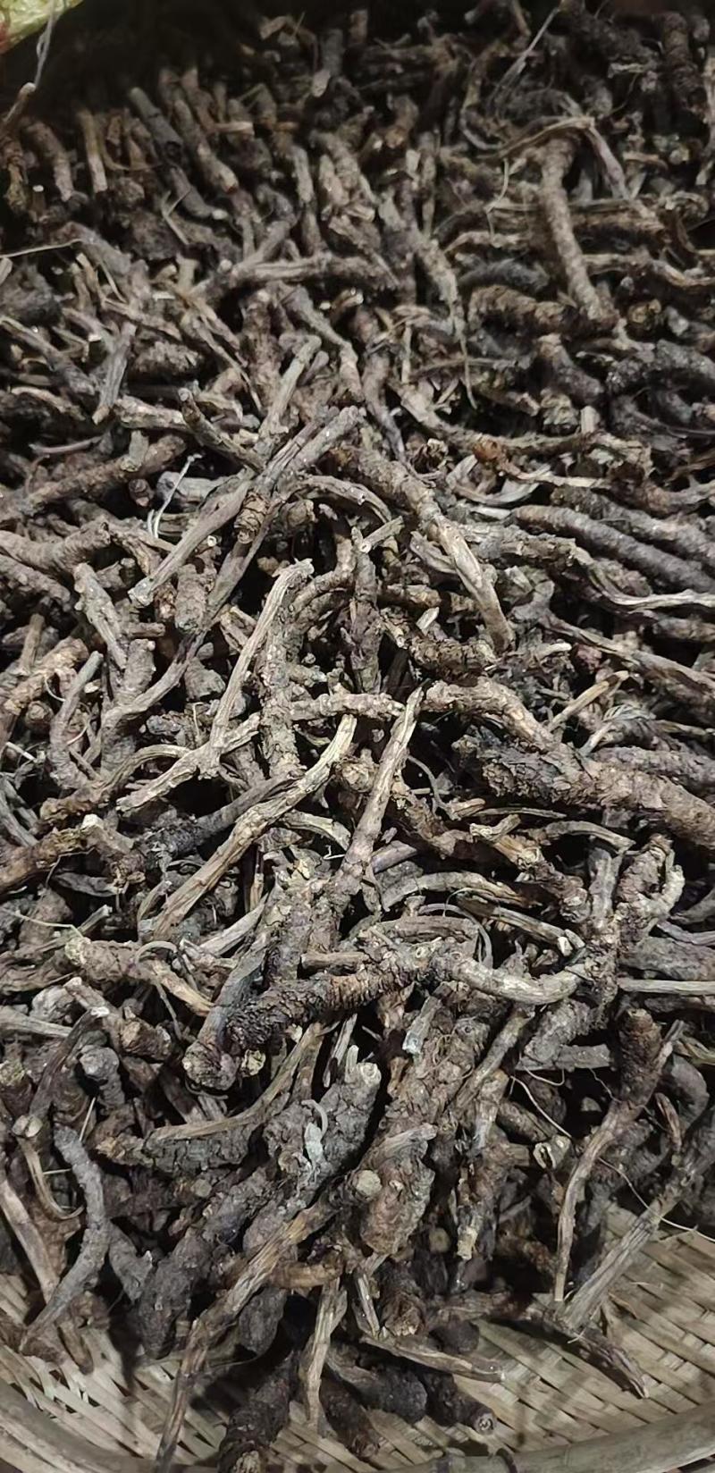 【推荐】胡黄连，刮皮一手货源量大从优可视频看货