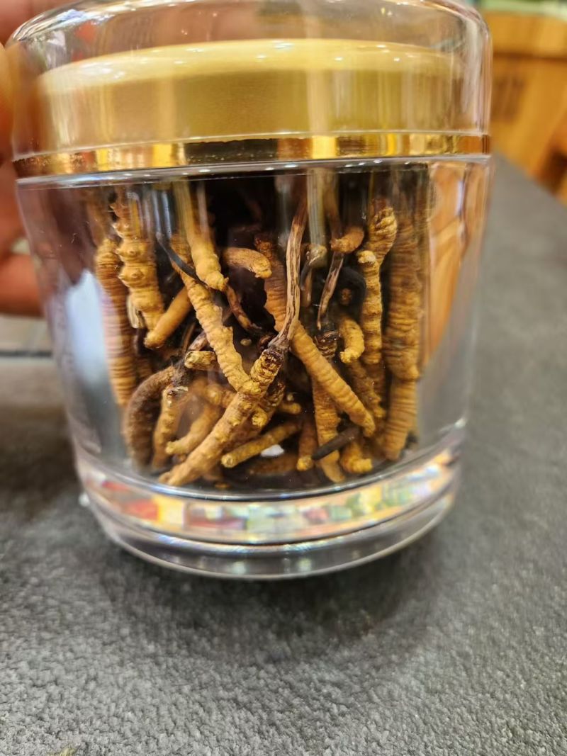 【推荐】冬虫夏草，刮皮一手货源量大从优可视频看货