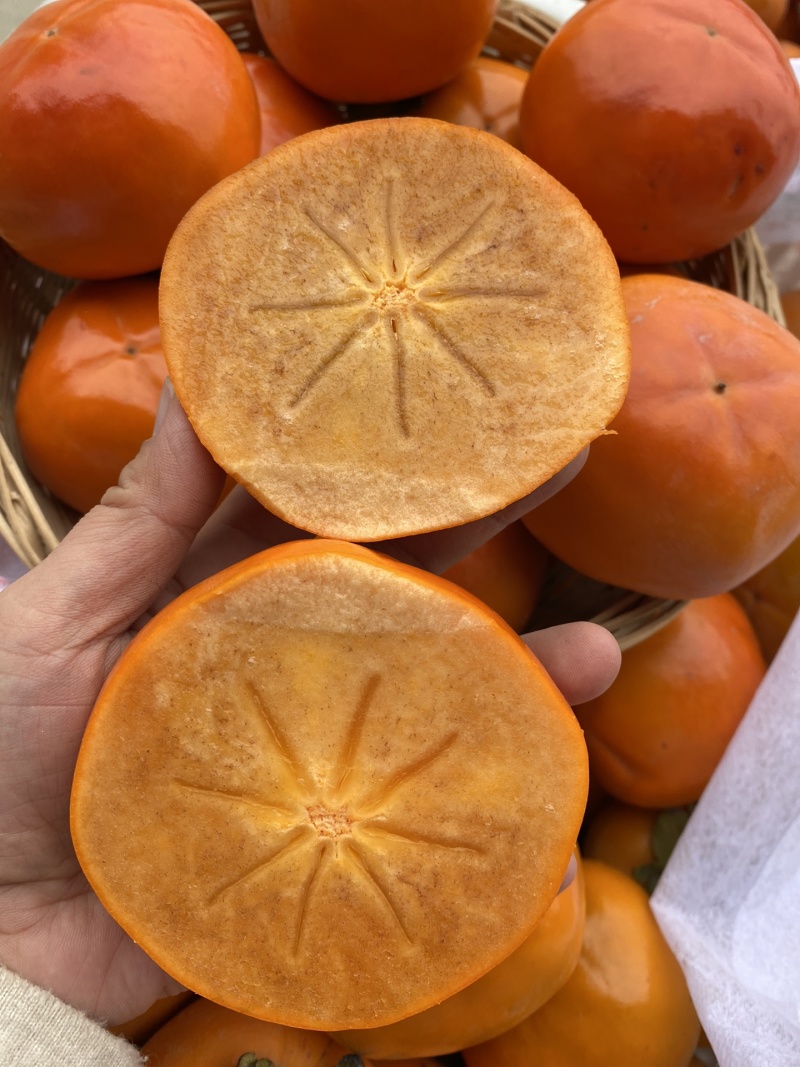 阳丰脆柿