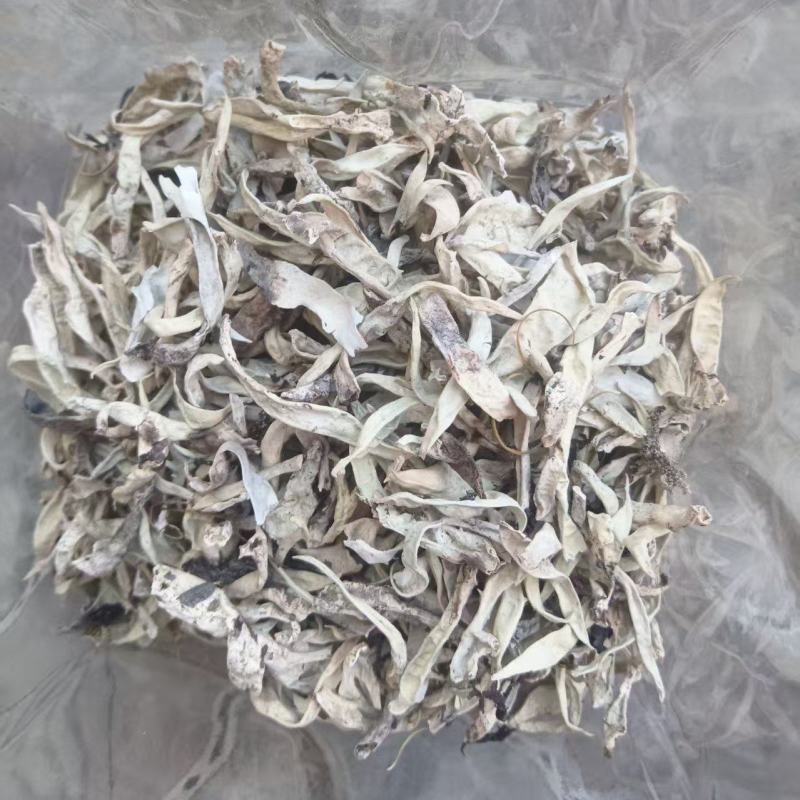 【推荐】藏雪茶，刮皮一手货源量大从优可视频看货