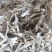 【推荐】藏雪茶，刮皮一手货源量大从优可视频看货
