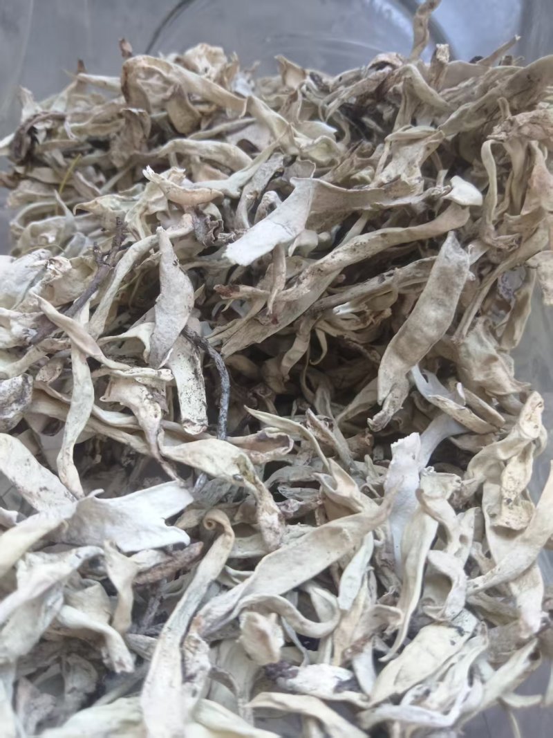 【推荐】藏雪茶，刮皮一手货源量大从优可视频看货