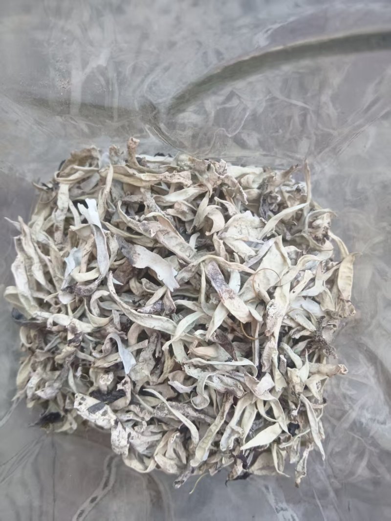 【推荐】藏雪茶，刮皮一手货源量大从优可视频看货