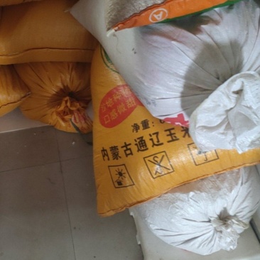 新水稻