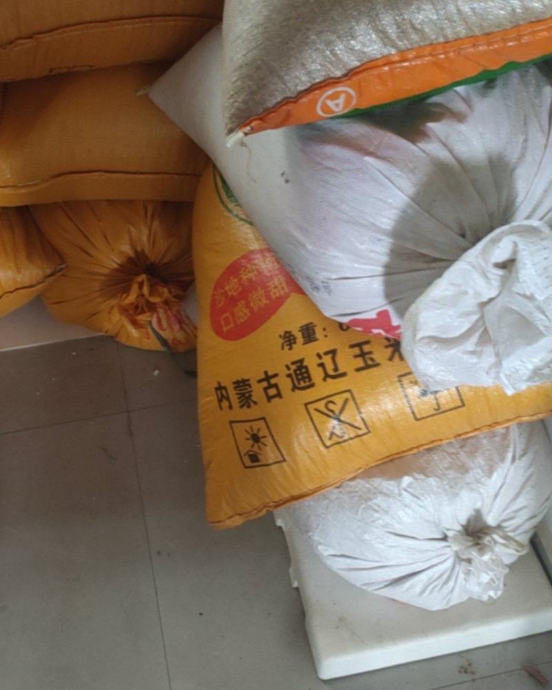 新水稻
