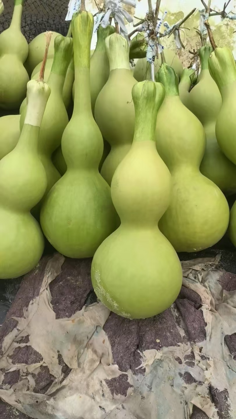 工艺品葫芦