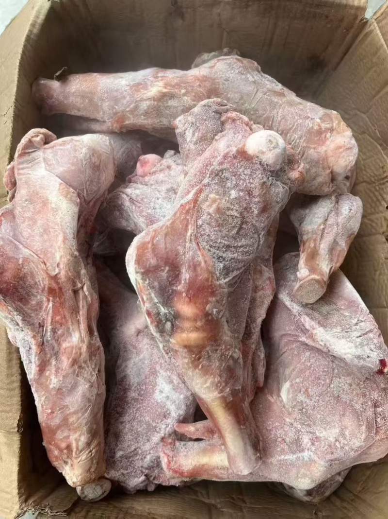 乳牛腿，大小规格都有，宴席，酒店，全牛管都可以用