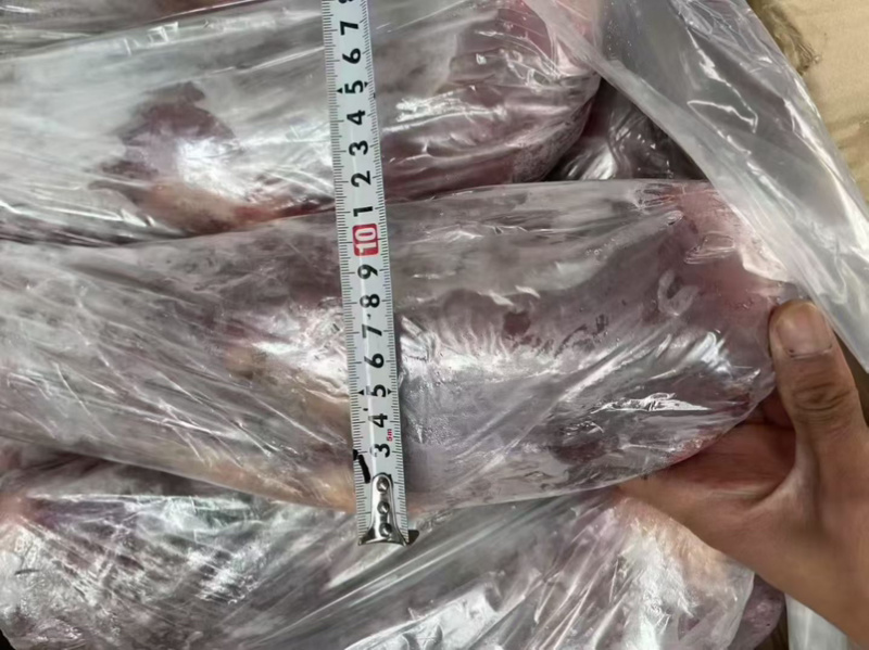乳牛腿，大小规格都有，宴席，酒店，全牛管都可以用