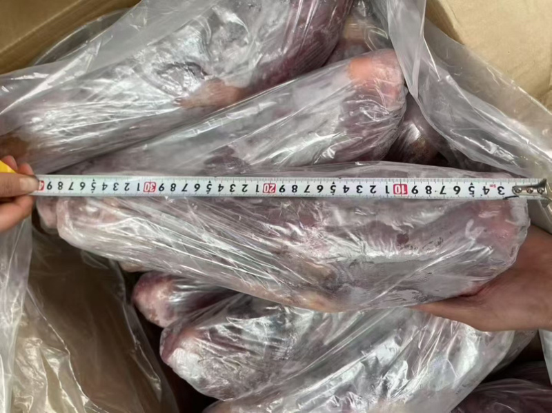 乳牛腿，大小规格都有，宴席，酒店，全牛管都可以用