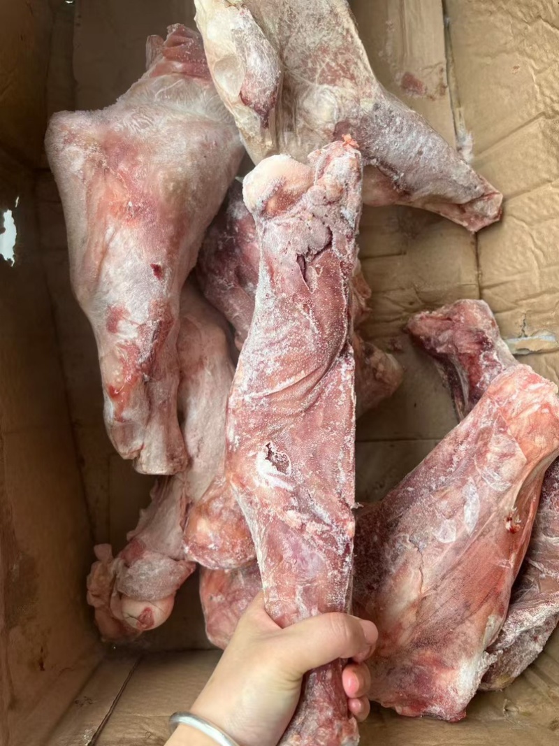 乳牛腿，大小规格都有，宴席，酒店，全牛管都可以用