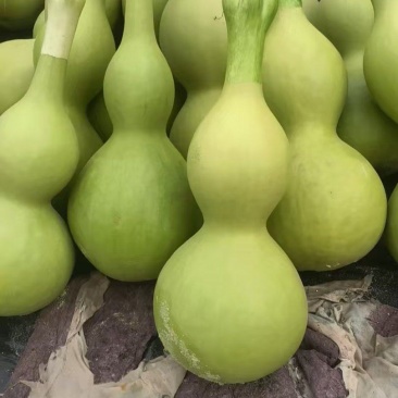 工艺品葫芦
