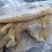 熟牛肚，纯干货，可以炒，可以涮，性价比高，大小规格都有