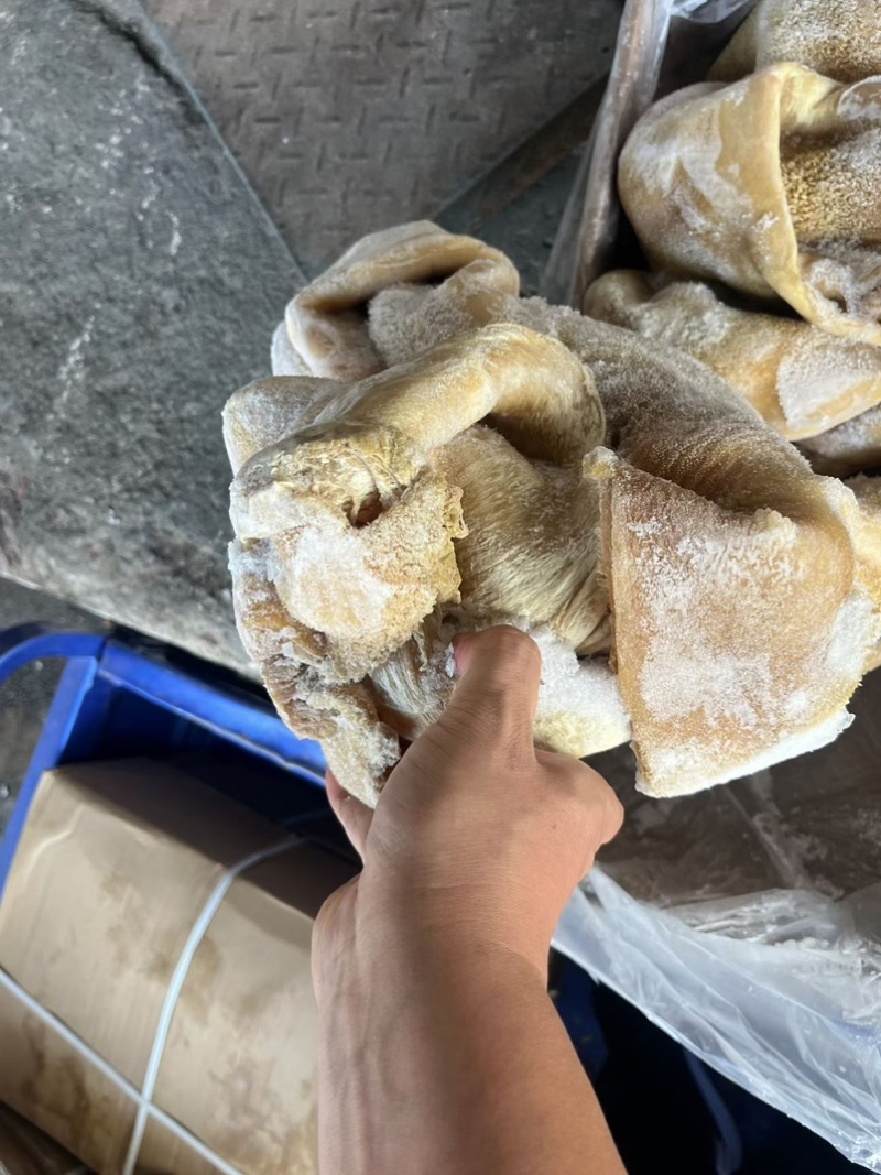 熟牛肚，纯干货，可以炒，可以涮，性价比高，大小规格都有