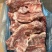 猪胫骨，满肉，可做排骨米饭，红烧排骨，大排档都可以用