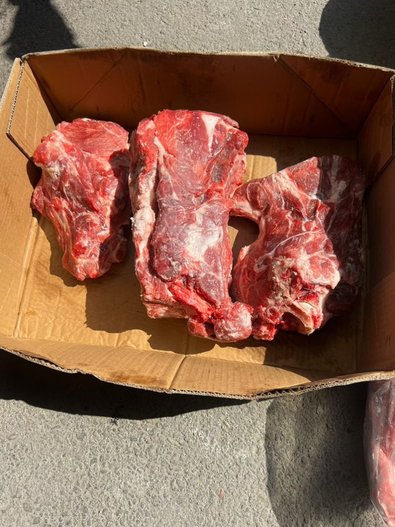 猪胫骨，满肉，可做排骨米饭，红烧排骨，大排档都可以用