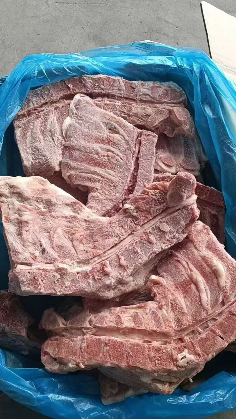 猪胫骨，满肉，可做排骨米饭，红烧排骨，大排档都可以用