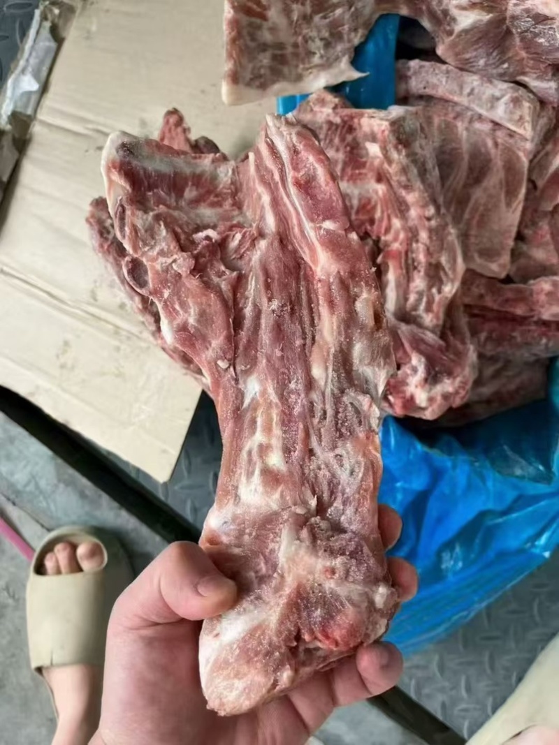 猪胫骨，满肉，可做排骨米饭，红烧排骨，大排档都可以用