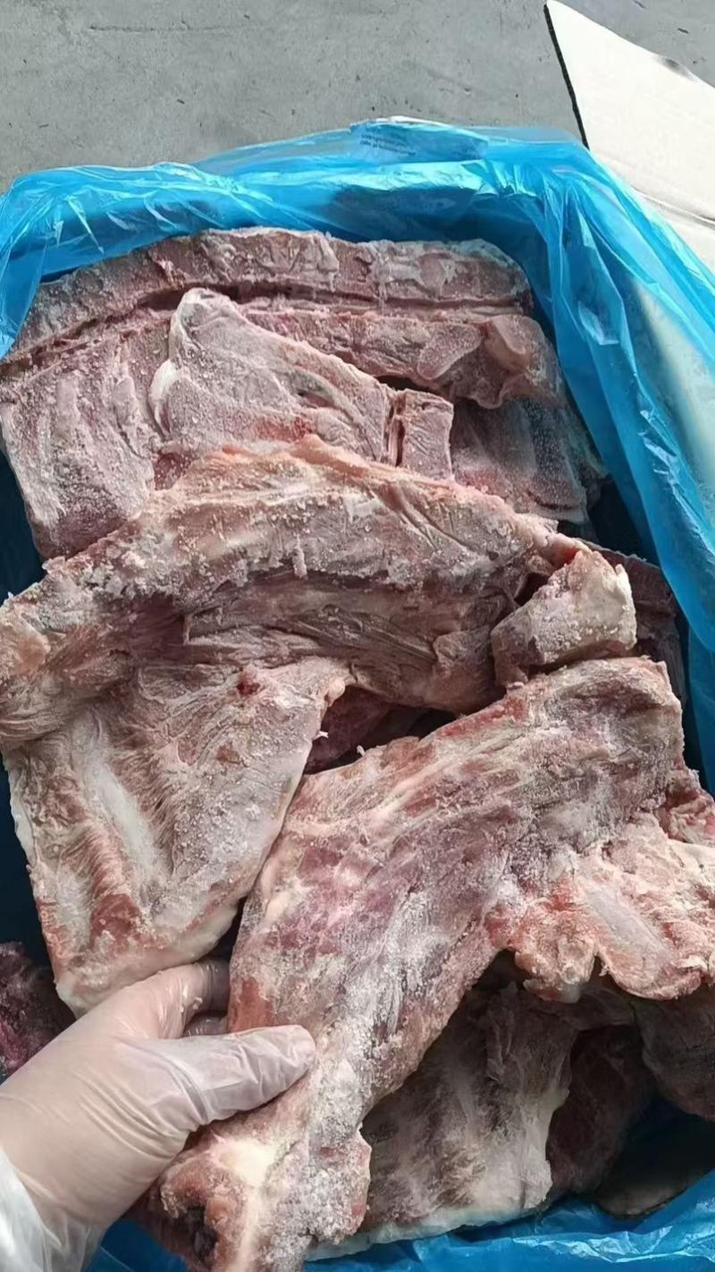 猪胫骨，满肉，可做排骨米饭，红烧排骨，大排档都可以用