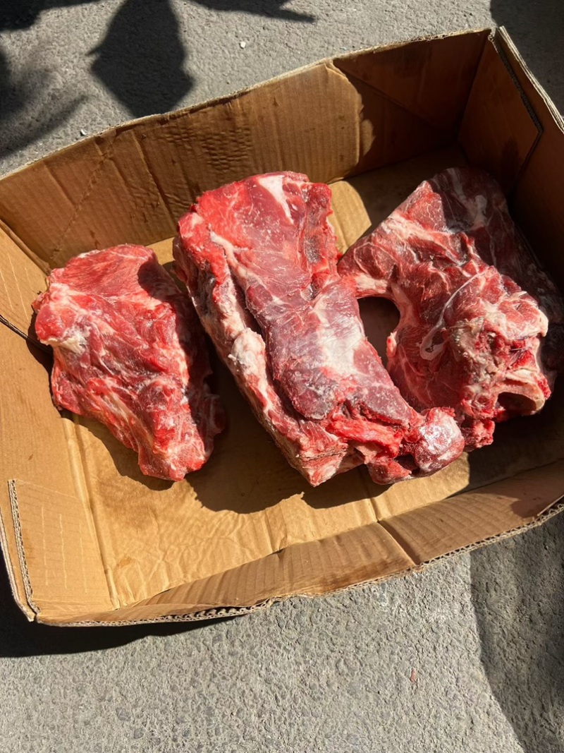 猪胫骨，满肉，可做排骨米饭，红烧排骨，大排档都可以用