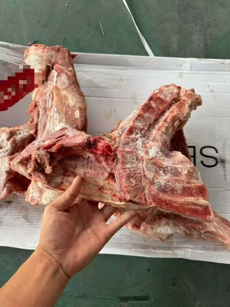 猪胫骨，满肉，可做排骨米饭，红烧排骨，大排档都可以用