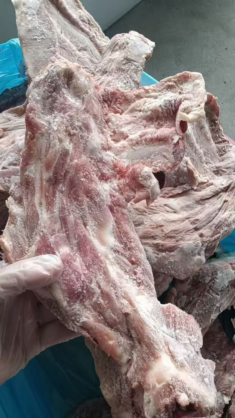 猪胫骨，满肉，可做排骨米饭，红烧排骨，大排档都可以用