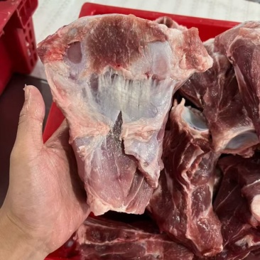 鲜分肥猪扇骨