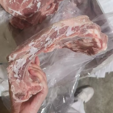 肥猪去颈去翅前排