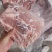 肥猪去颈去翅前排