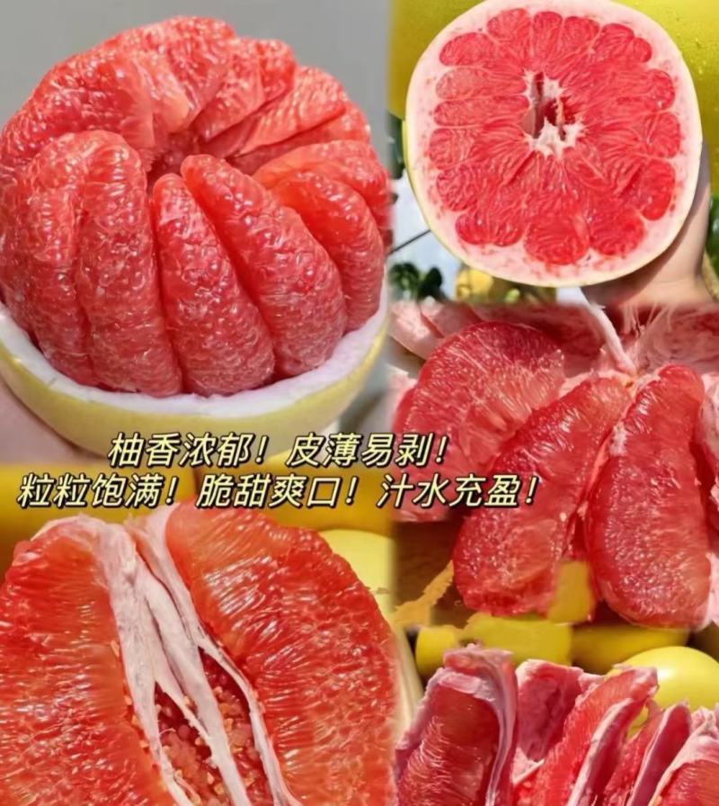 柚子、江西特产马家柚产地直销一手货源诚信经营