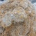 红雪茶各种花茶批发一手货源产地直销需要的老板直接下单就可