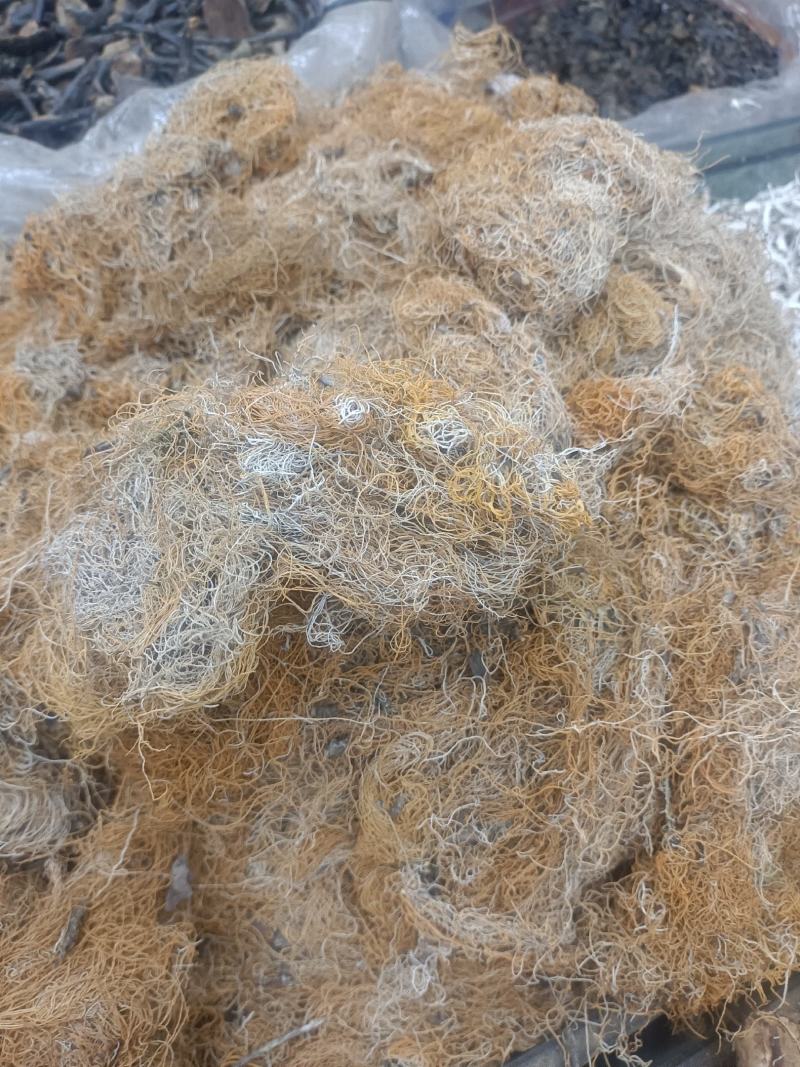 红雪茶各种花茶批发一手货源产地直销需要的老板直接下单就可