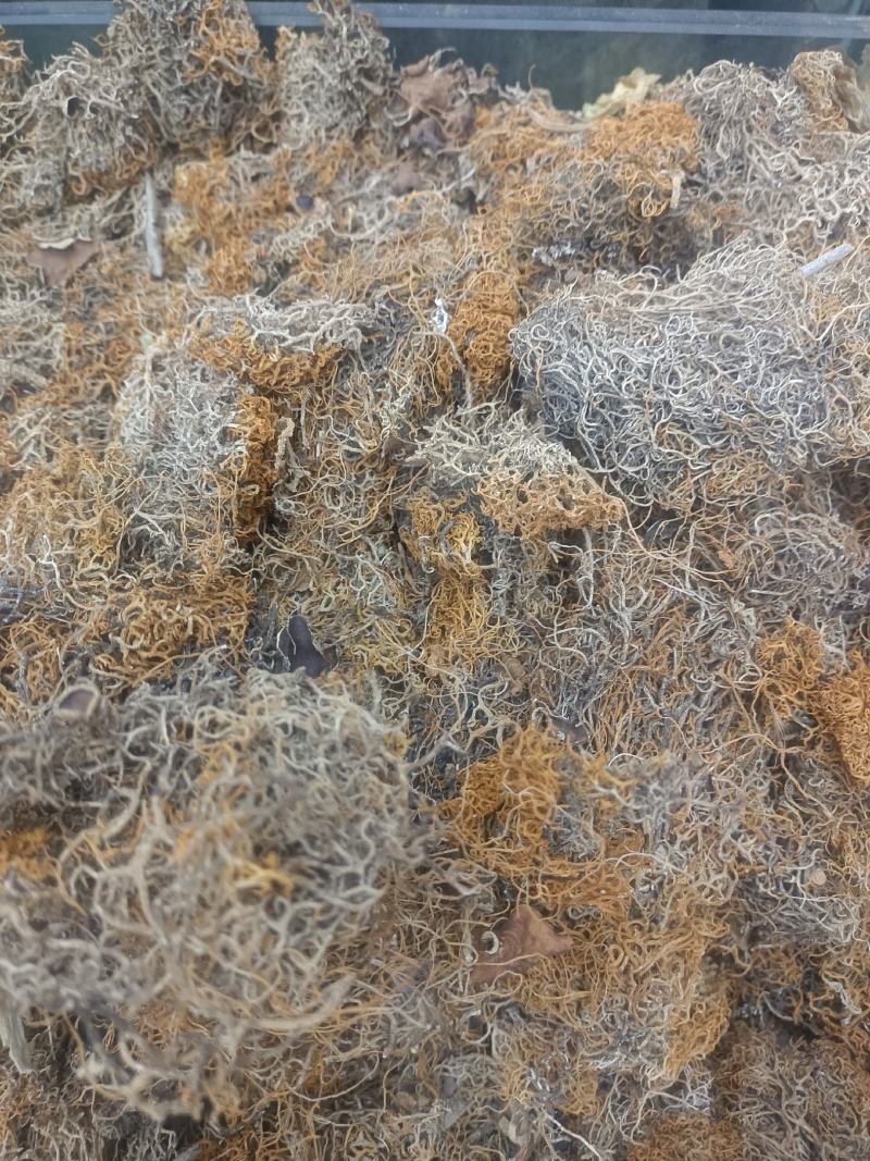红雪茶各种花茶批发一手货源产地直销需要的老板直接下单就可