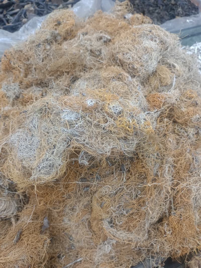 红雪茶各种花茶批发一手货源产地直销需要的老板直接下单就可