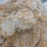 红雪茶各种花茶批发一手货源产地直销需要的老板直接下单就可