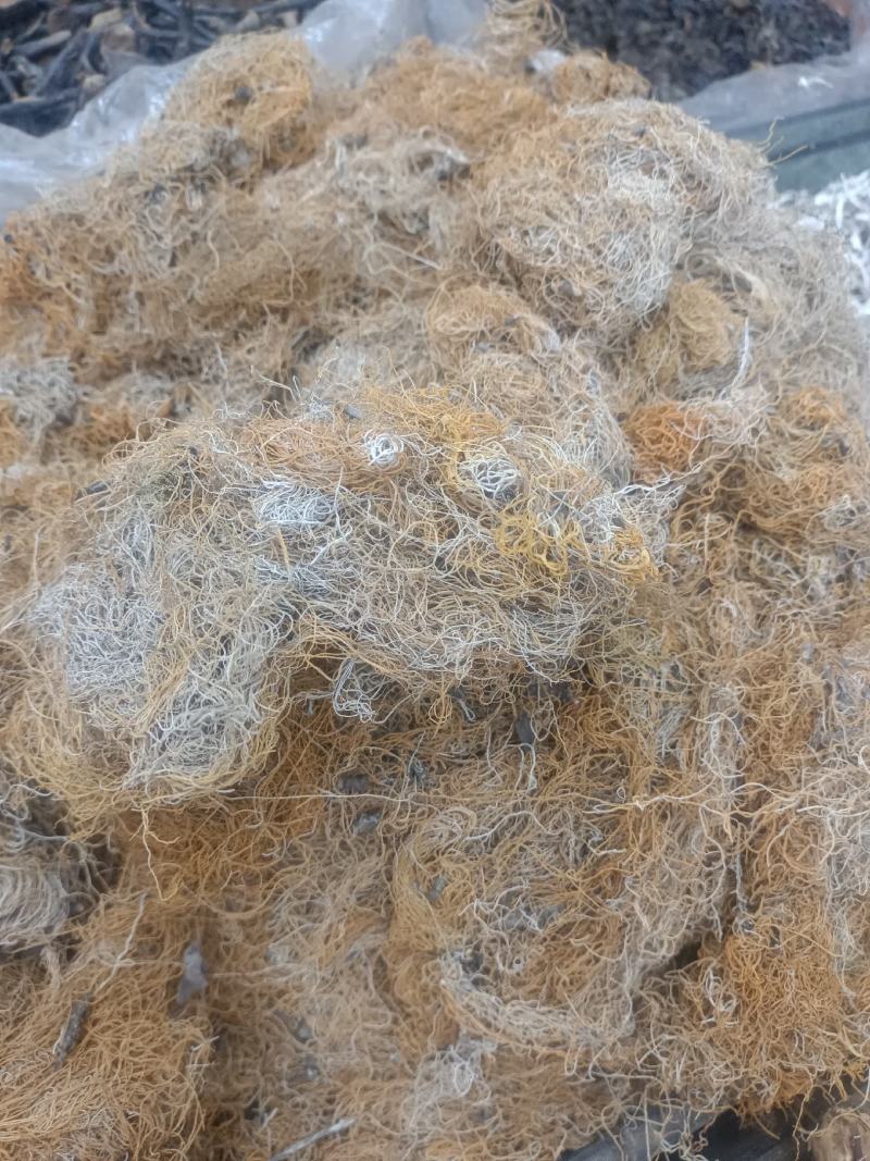 红雪茶各种花茶批发一手货源产地直销需要的老板直接下单就可