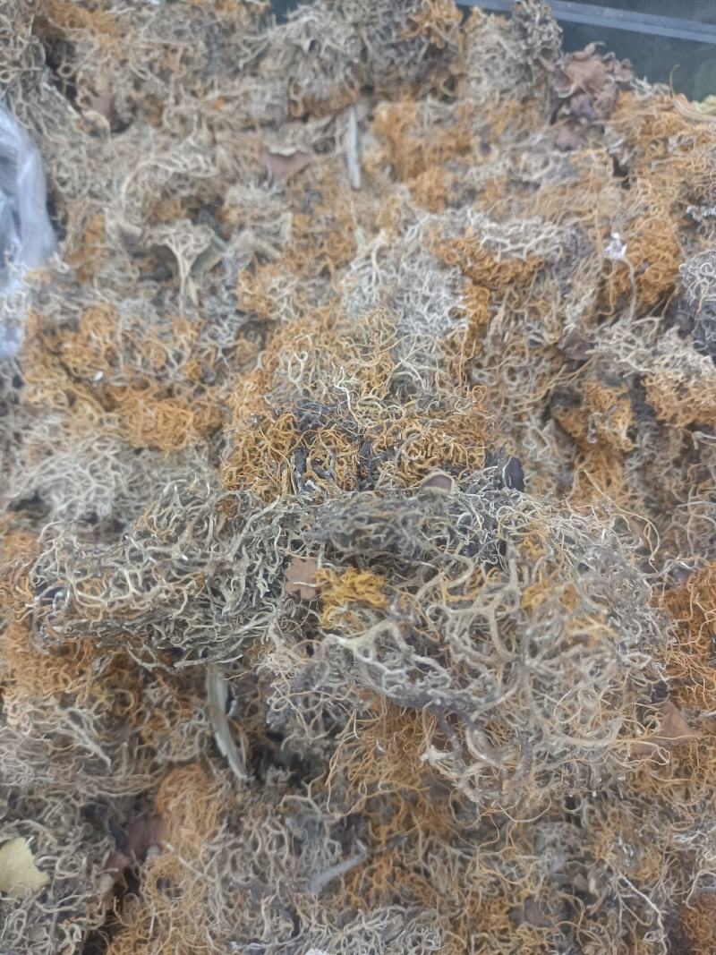 红雪茶各种花茶批发一手货源产地直销需要的老板直接下单就可