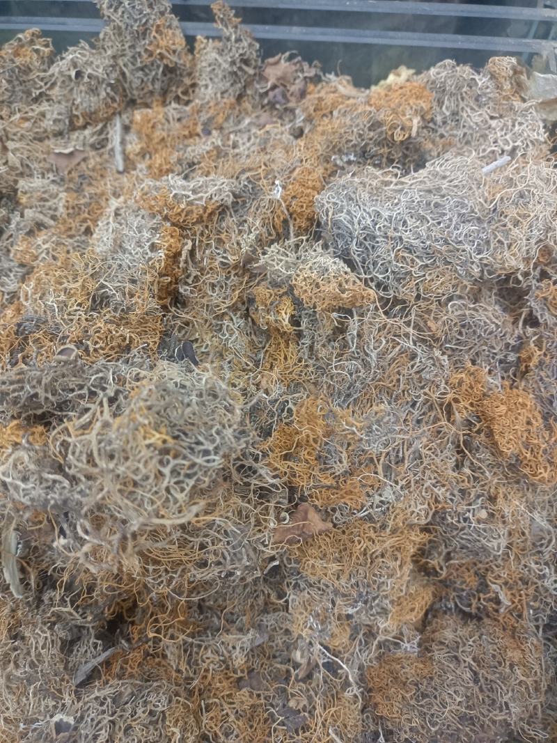 红雪茶各种花茶批发一手货源产地直销需要的老板直接下单就可