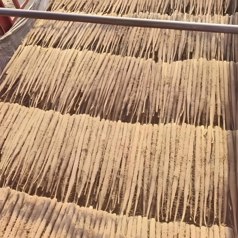 双棒山药