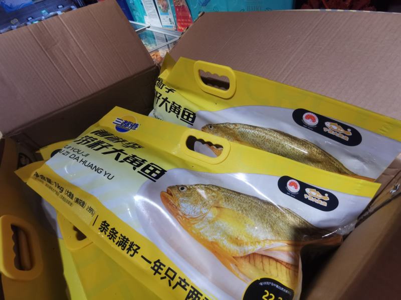 洄游季大黄鱼1000g